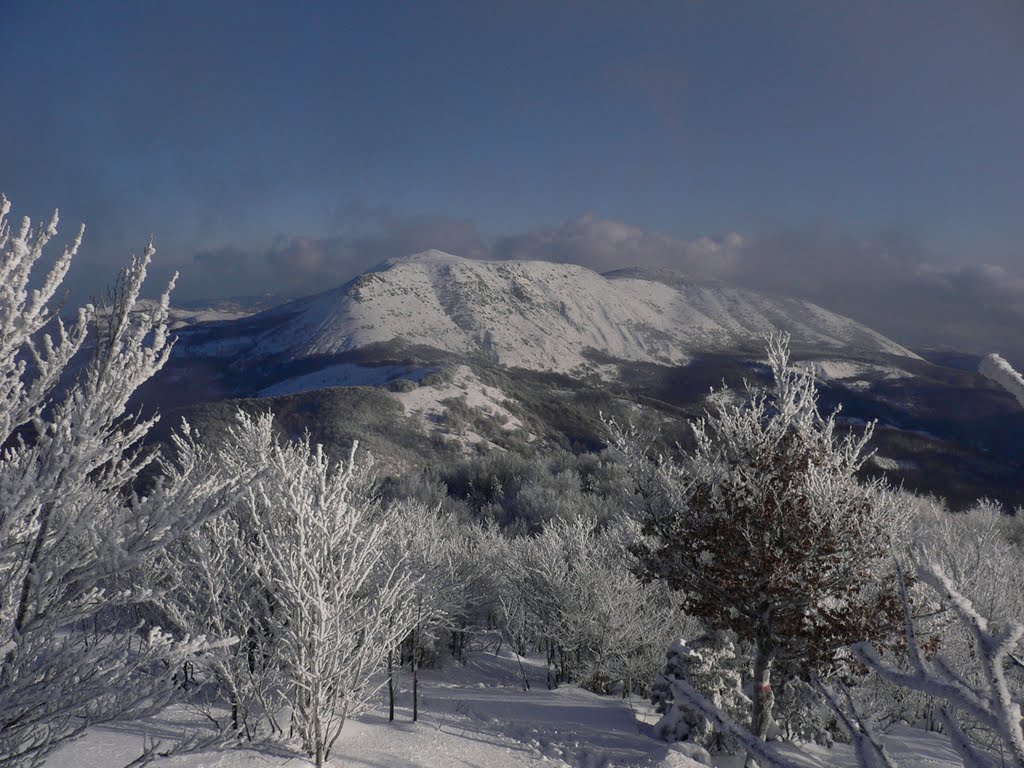 Il monte Ragola dal sentiero per il Nero by etioetio