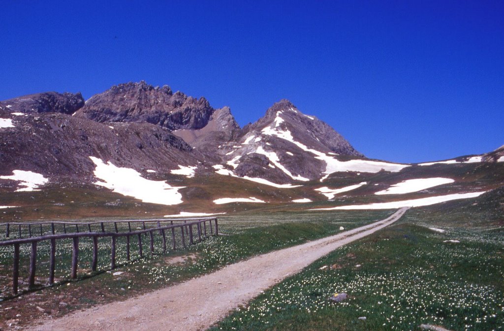 Rocca Brancia - Punta Eco nei pressi del rifugio Gardetta by Luca78