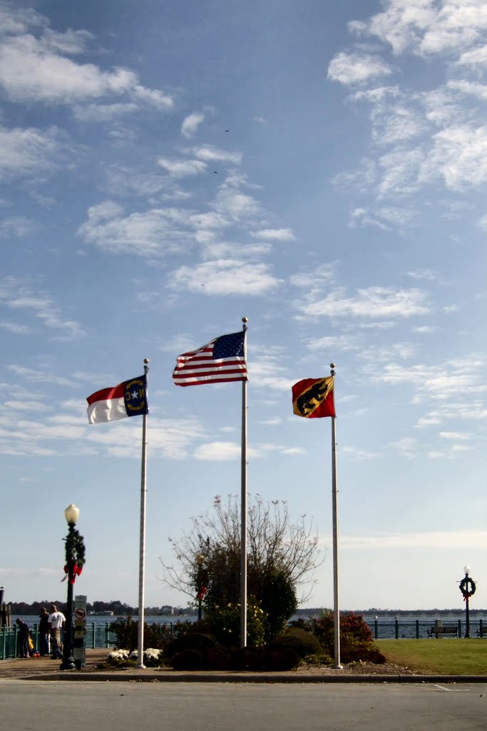 Flags in Union Point Park by Michael Lowe