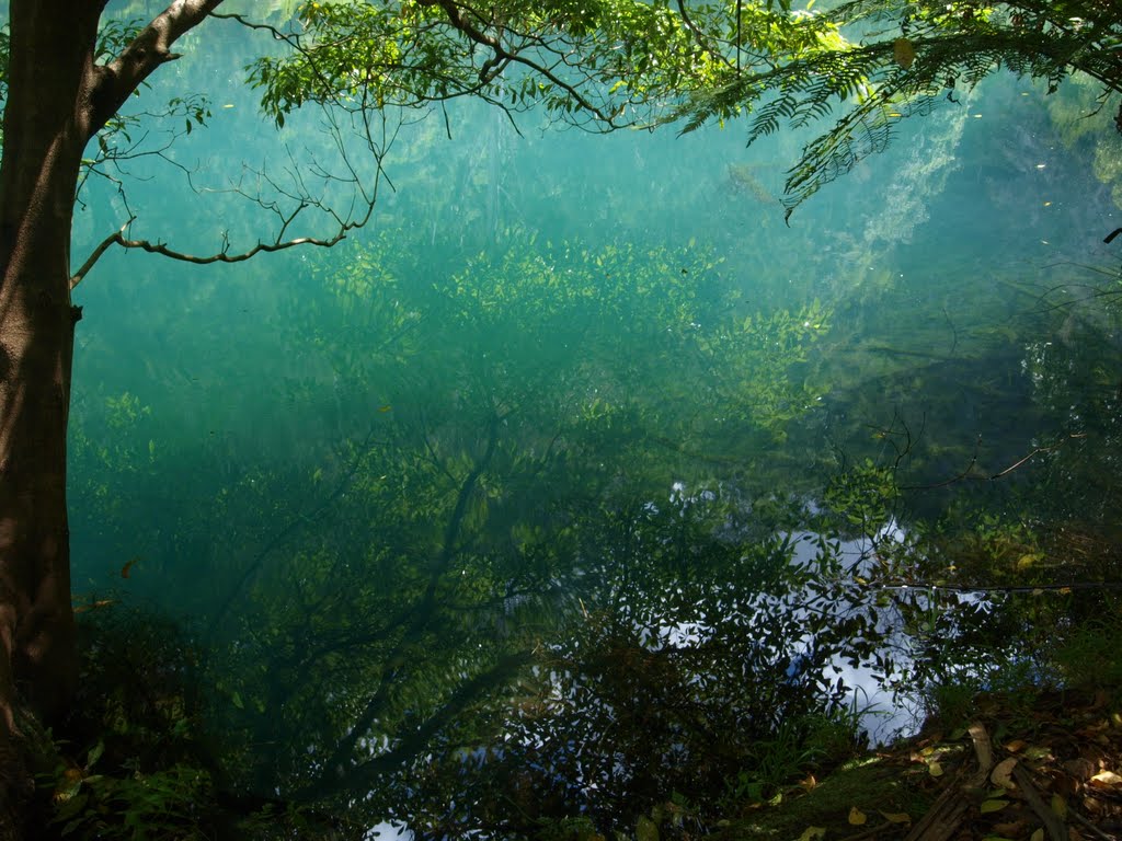 Calm Water by Dennis Paul Griffith…