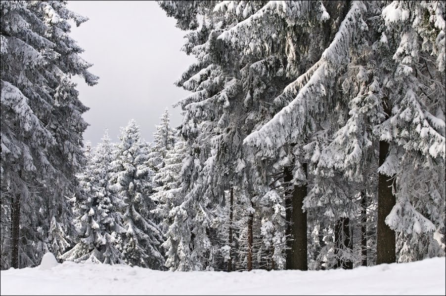 Winterlandschaft by Taunusbilder