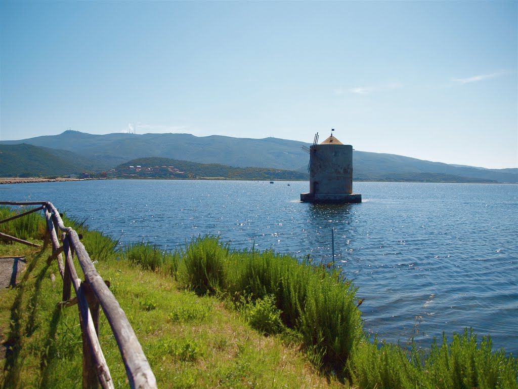 ORBETELLO LAGUNA by Maurizio Ligabue