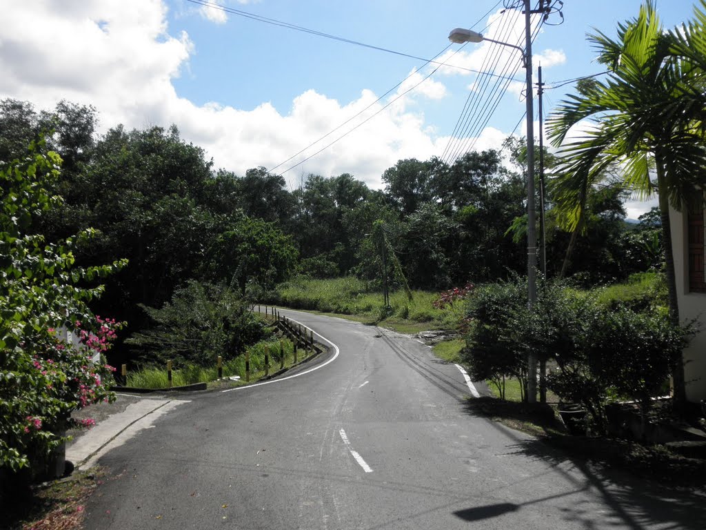 Warisan Hill Road by kkboy