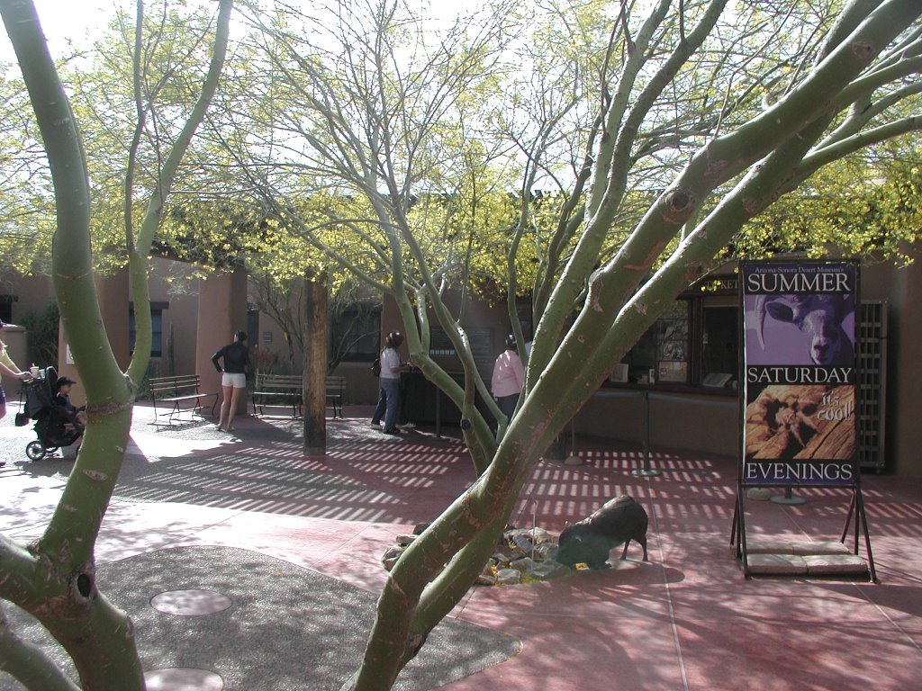 Desert museum entrance by MAL10587