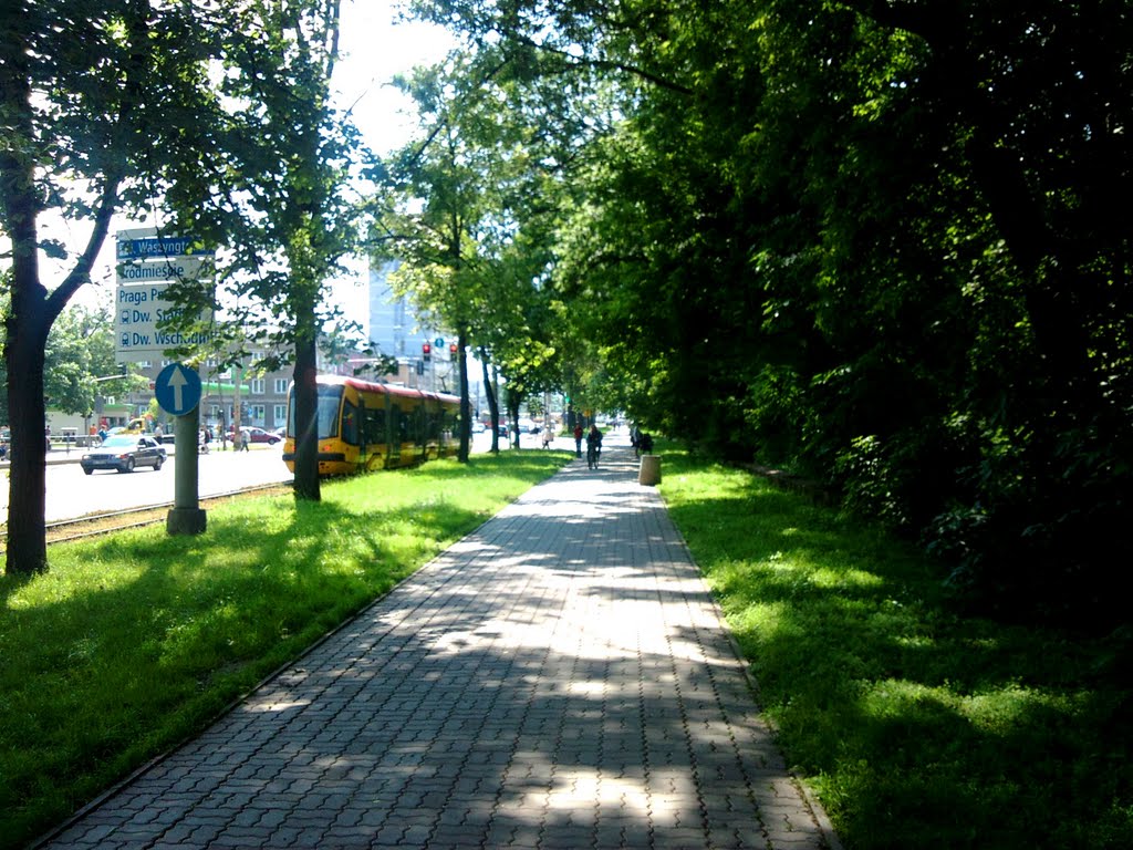 Al.Waszyngtona/Shady Washington Ave. in June 2010 by GeorgeM