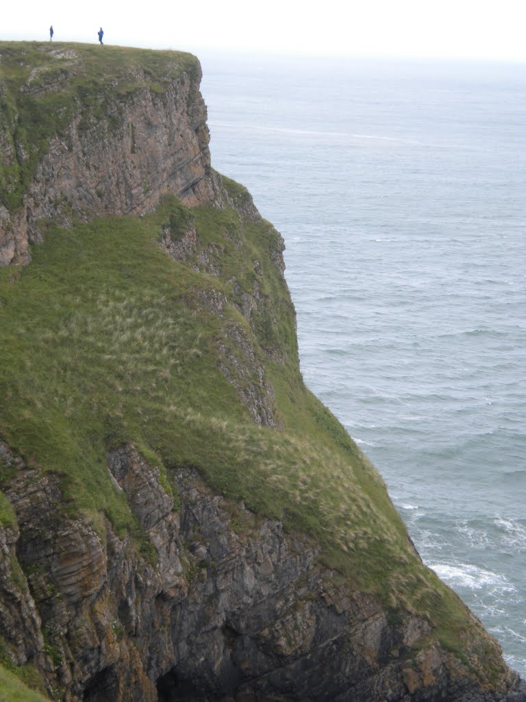 Worms Head by David Owen