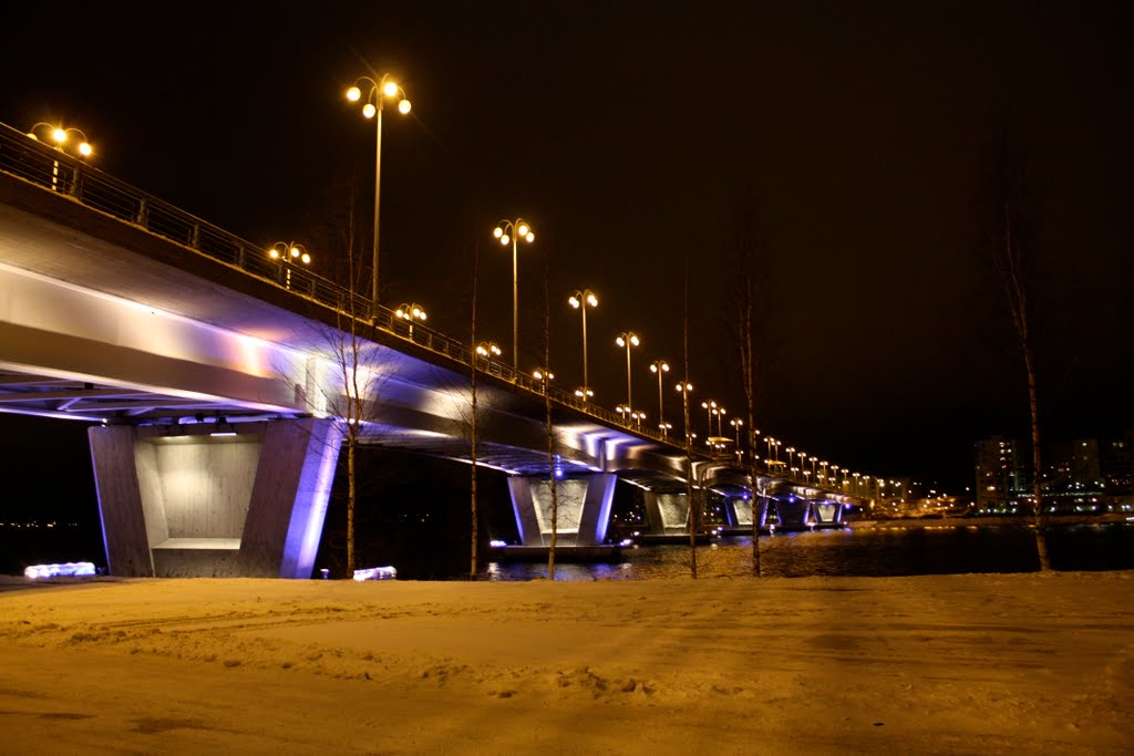 Jyväskylä Kuokkala Bridge by NaomiQ