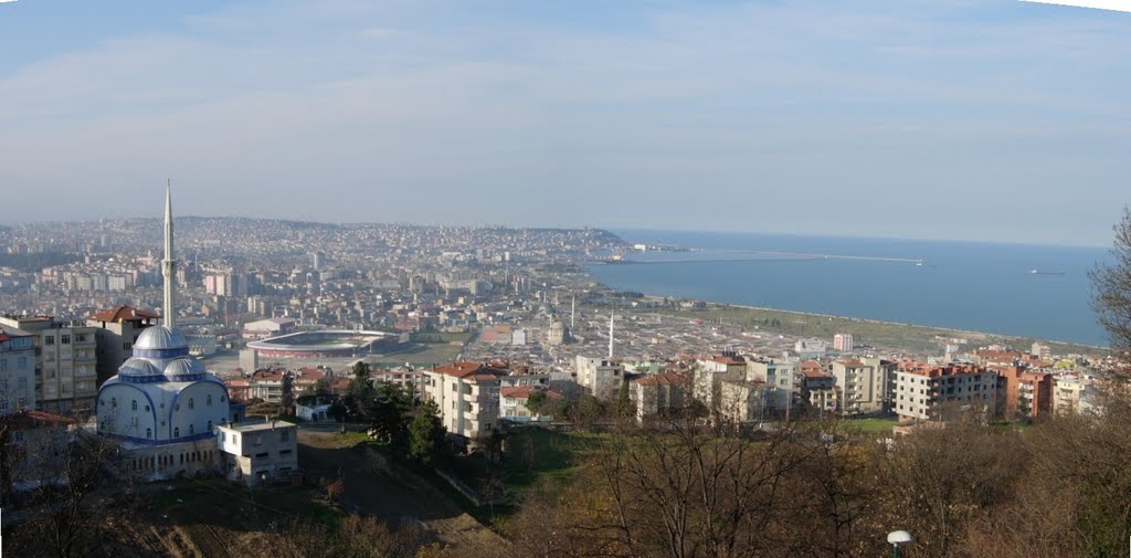 Samsun-Hasköy Meşe Tesisleri by gozoral