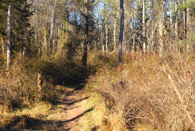 Boone Trail at French Creek State Park by EHJ666