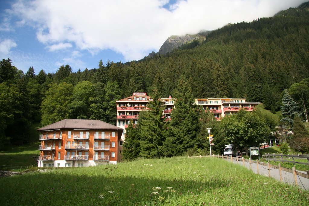 Beausite Park Hotel - Wengen - circa 2010 by gtp1