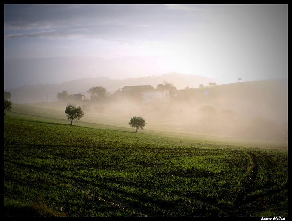 60010 Ostra, Province of Ancona, Italy by Andrea Giuliani foto