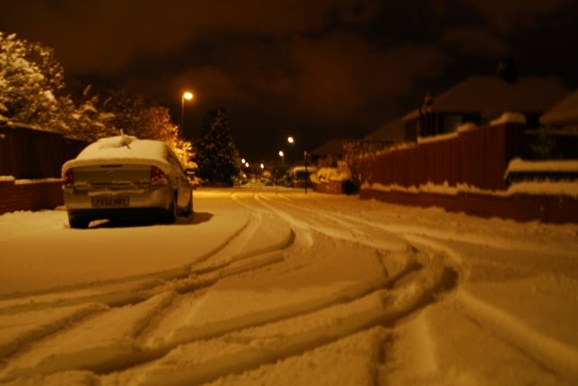 NOVEMBER 2010 SNOWS @ NIGHT by Tyne Decca