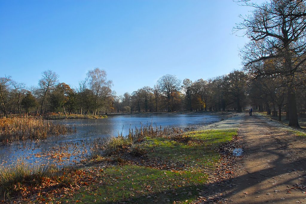 Winter Walk by David Humphreys