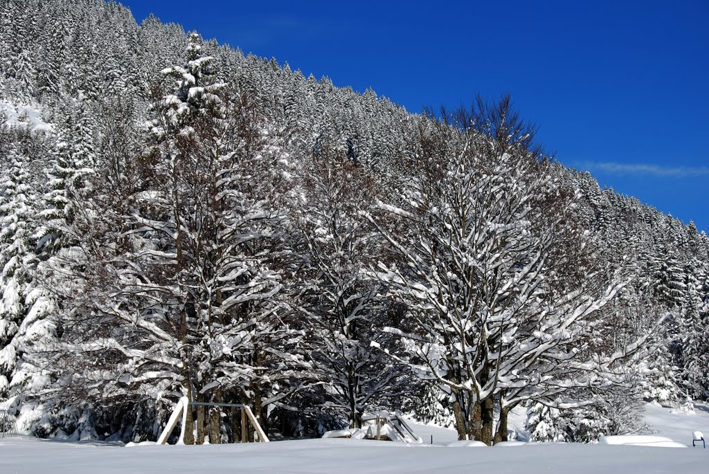 Oberjoch - Winterimpressionen by erlebnis-foto.de