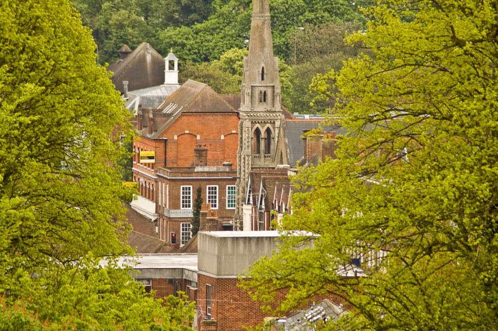 Farnham roof tops by Alladell