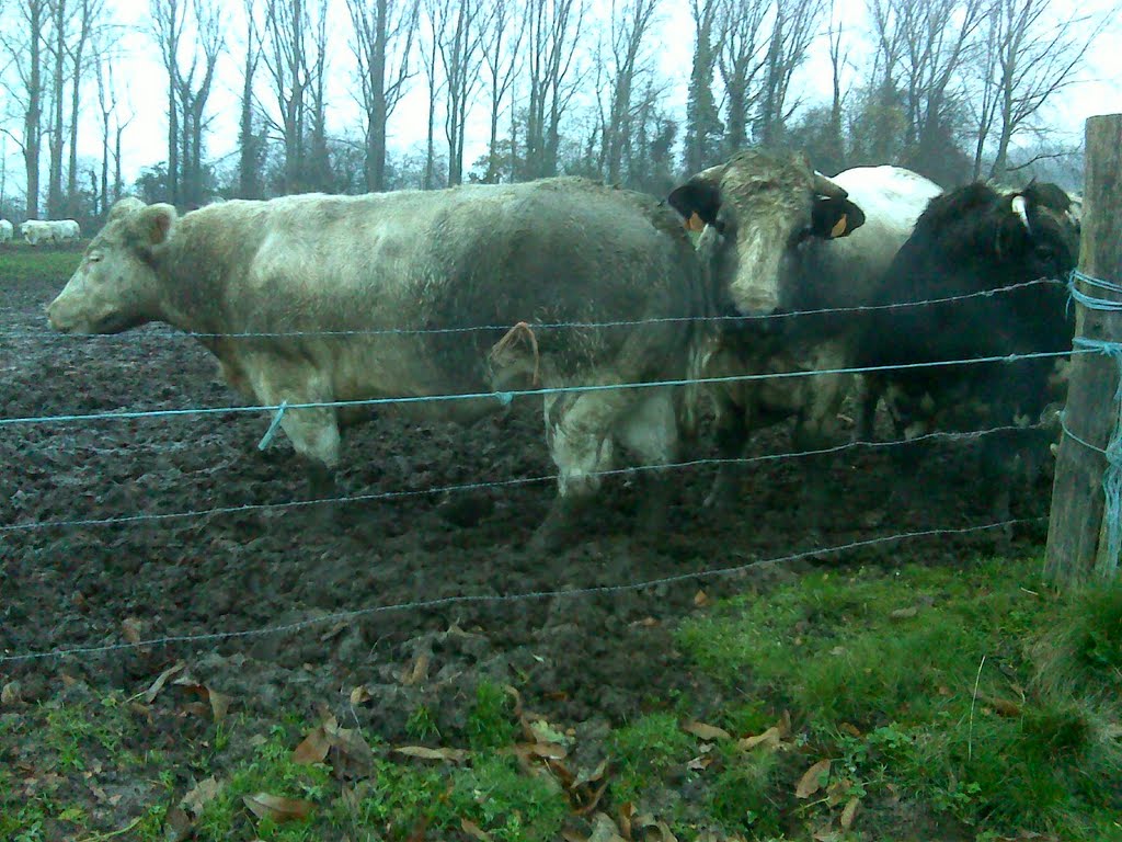 Boutersem, Oude Aarschotsebaan, Holle Weg naar boven richting Crommen Herinc by dominiektruyers