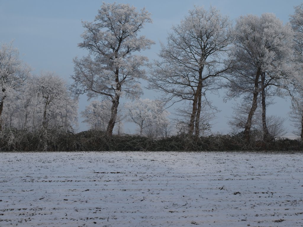 Koning winter komt er aan. by Hans R. van der Woud…