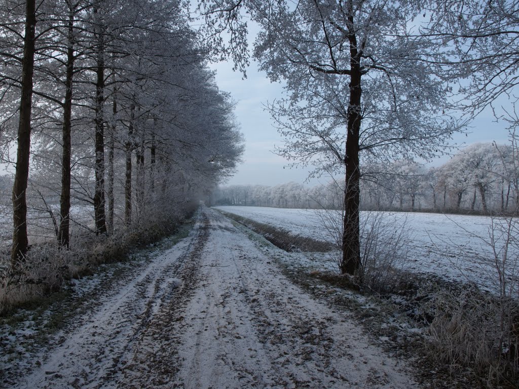 Koning winter komt er aan. by Hans R. van der Woud…