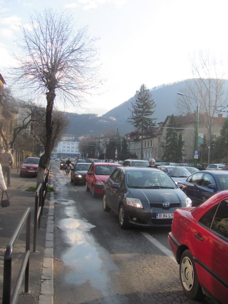 Brasov-Str. Castanilor by Popescu Vicentiu