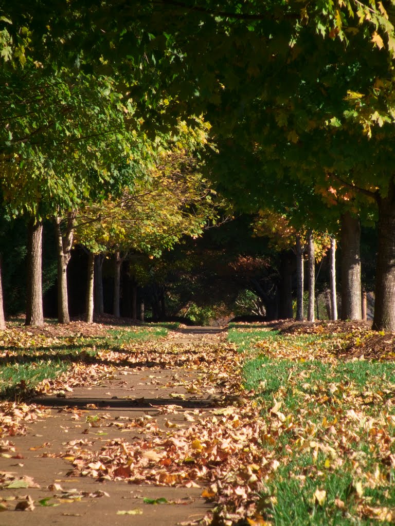 Revisited: Sunny Sidewalk (Experiment B) by Kevin Childress