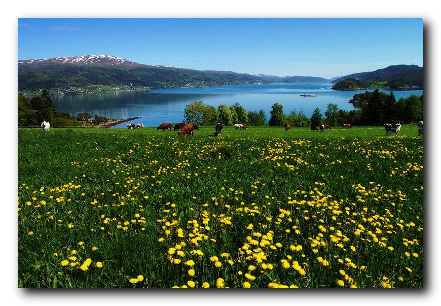 Fra Bolsøya. Norway by Bjørn Fransgjerde