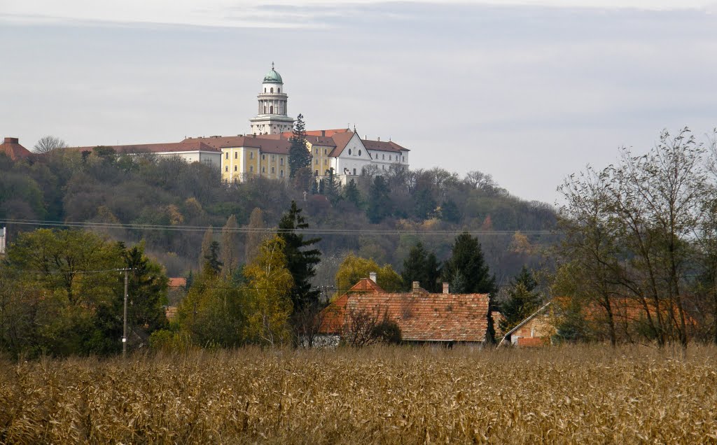 Pannonhalmi apátság by Mocsolád