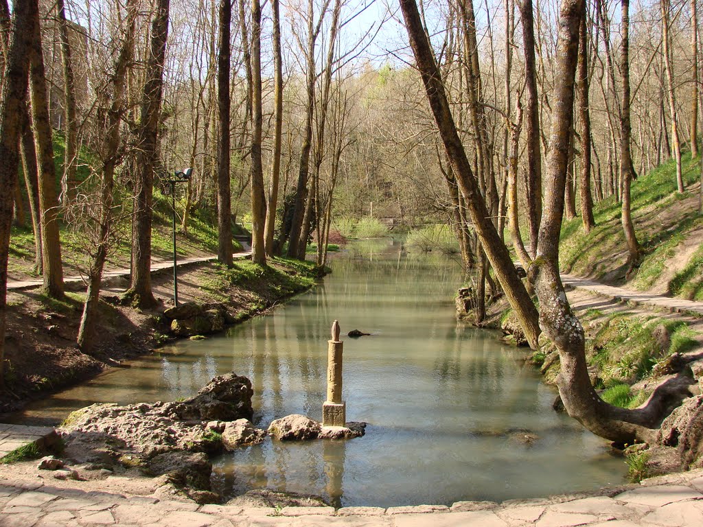 Nacimiento del rio Ebro. Fontibre by Ernesto Lorenzo