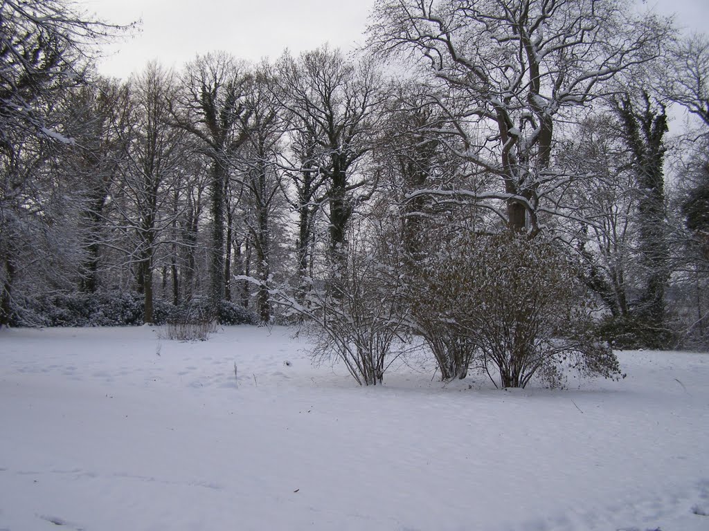 Akademihaven i Sorø by MogensAbitz