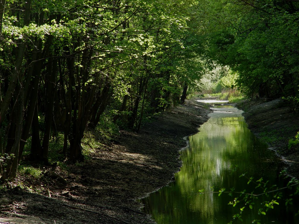 Fadenbach nach der Ausbaggerung by nirwanaroad