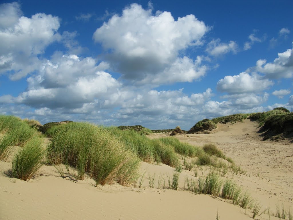 Sand Drift in nature area Coepelduynen by zwitserw