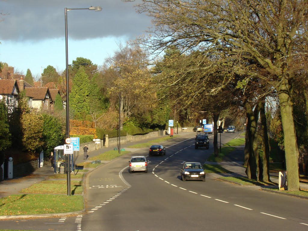 Ecclesall Road South looking due north east 2, Sheffield S11 by sixxsix