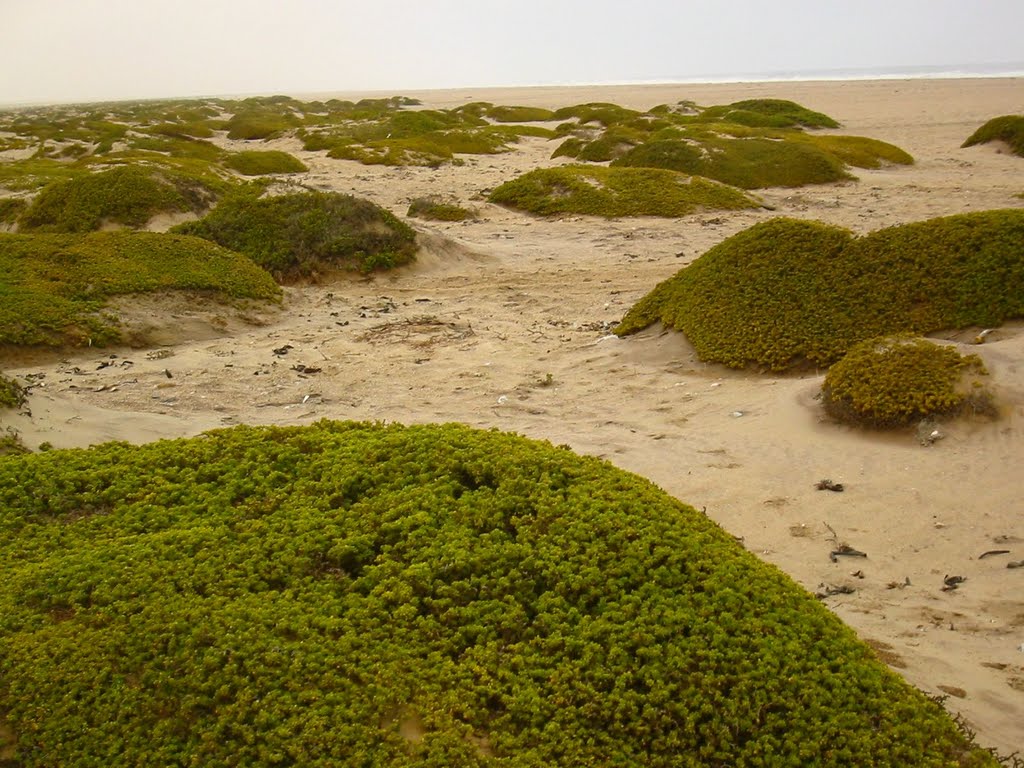 Erongo Region, Namibia by mroszewski