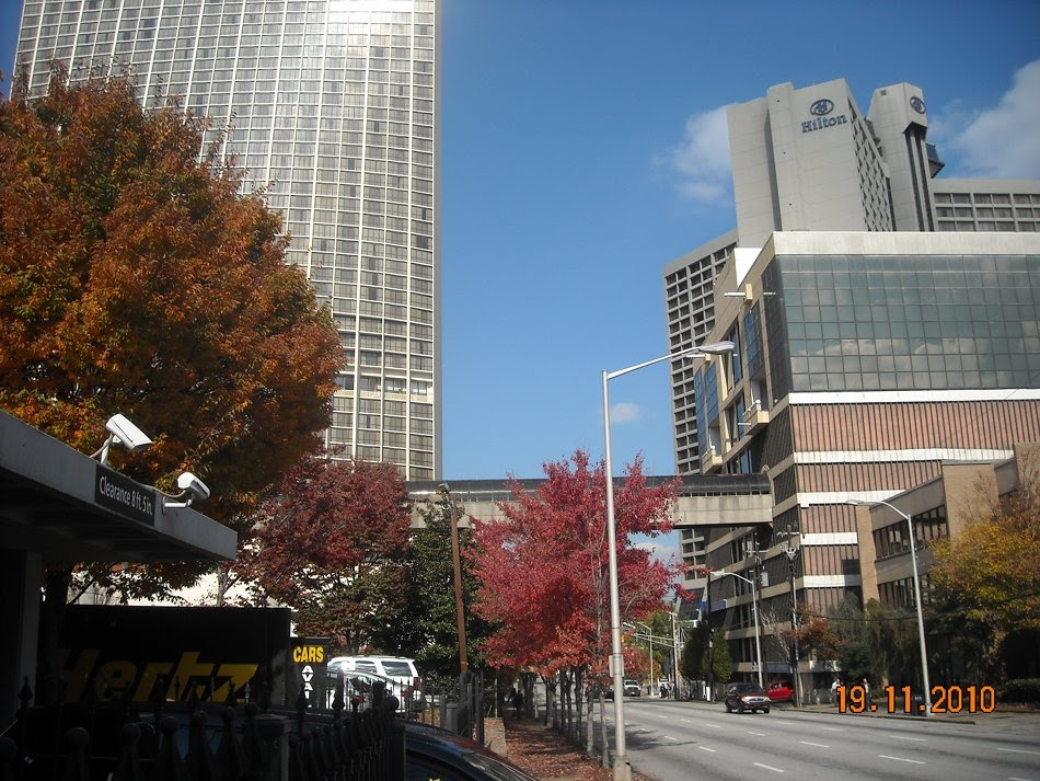 Hilton & Marriot Marquis by Fersonia