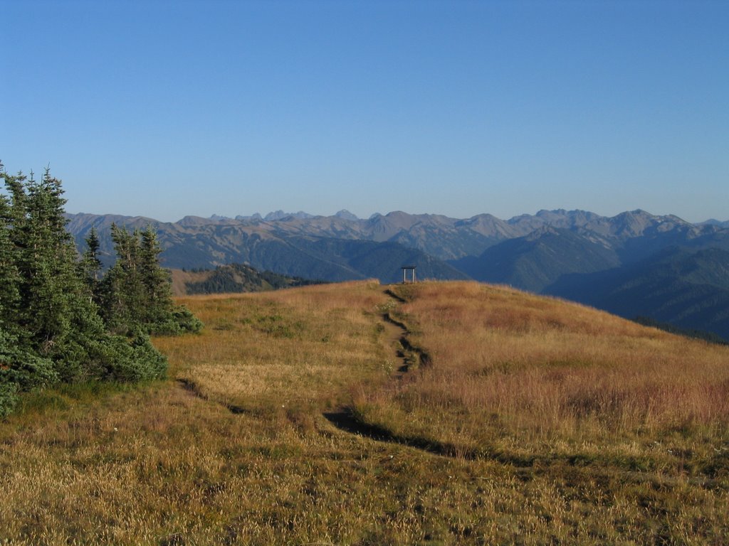 Hurricane Ridge by naunca