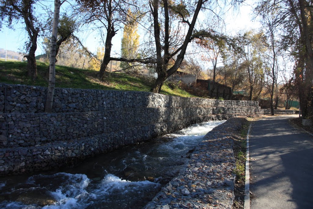 Small Almaty river \ Река Малая Алматинка by Anatoliy Romanenko