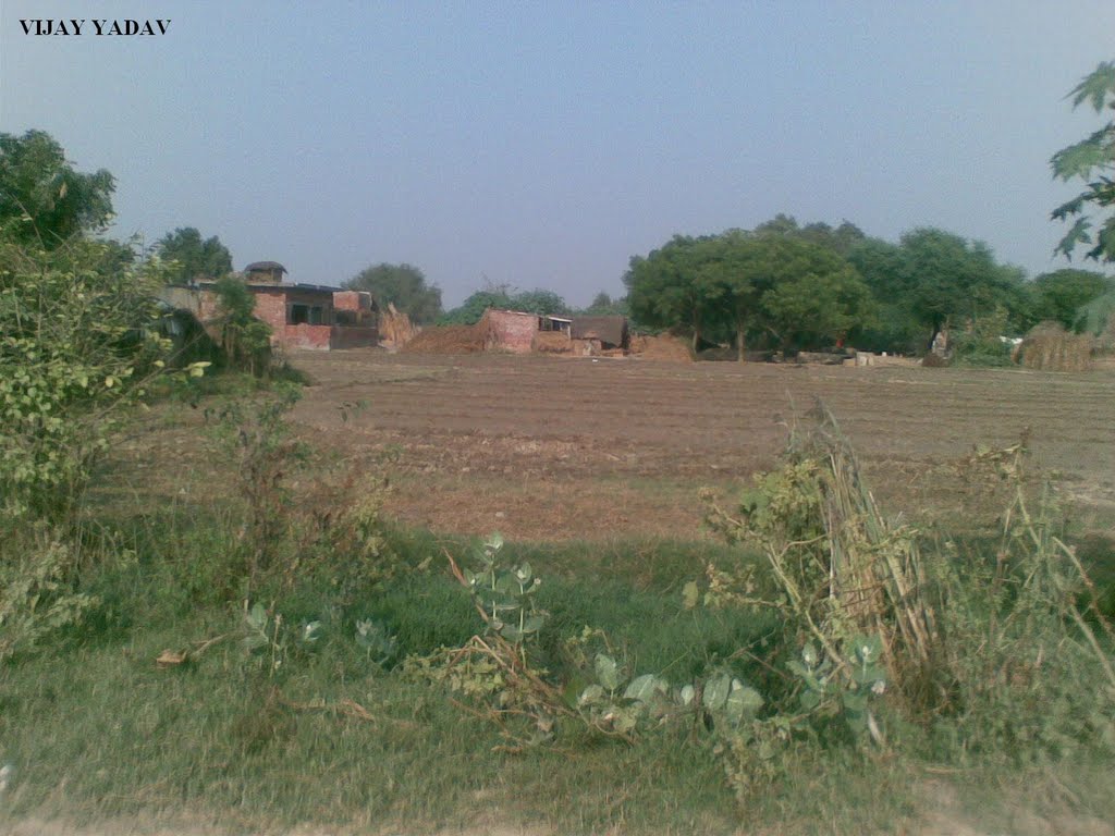 Etah, Uttar Pradesh, India by VIJAY YADAV