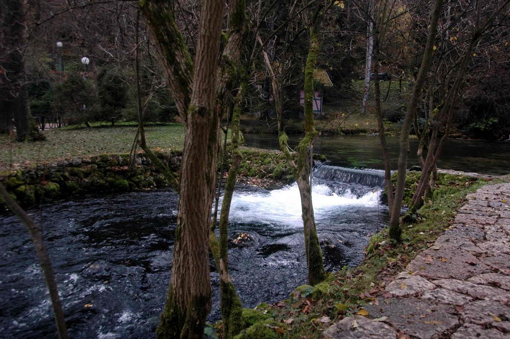 Vrelo Bosne by Teča sa Dunava