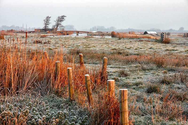 Winter Blues @ Eilandspolder by Zwoerdkop