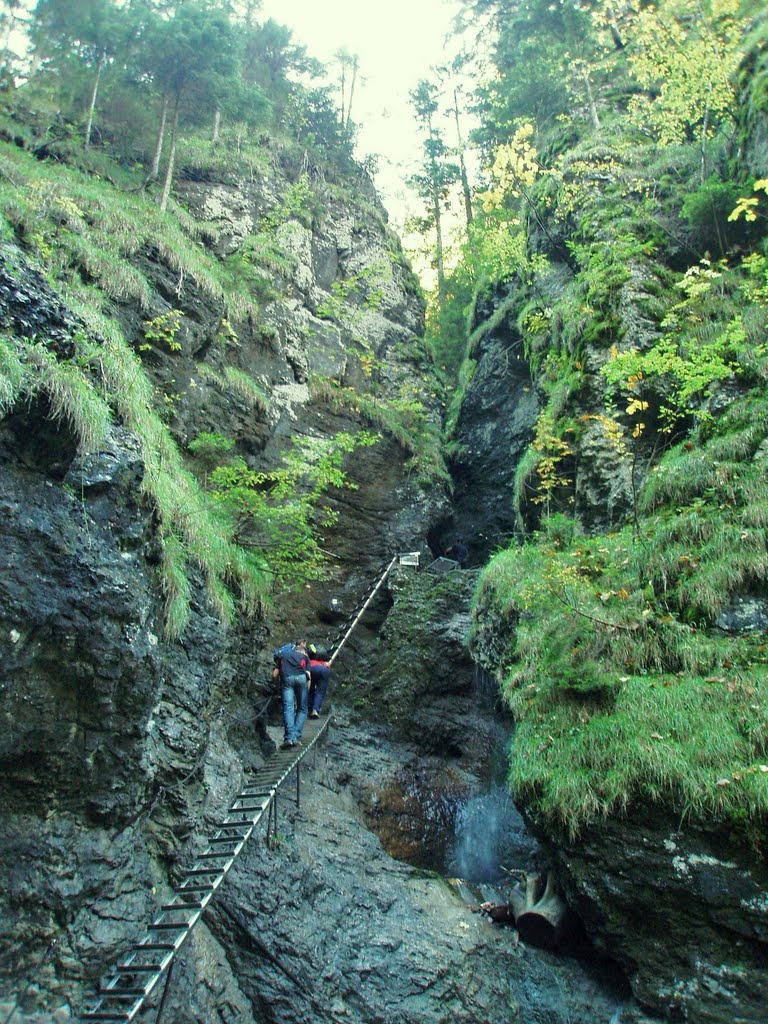 Slovenský raj - Suchá Belá,Misové vodopády by Majo 65