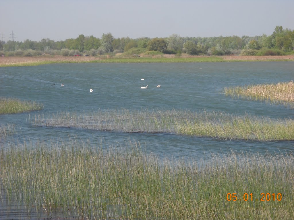 Lacul Șerbănești by ciprian.bl