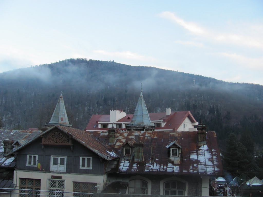 Vedere Sinaia de la telecabină by Popescu Vicentiu