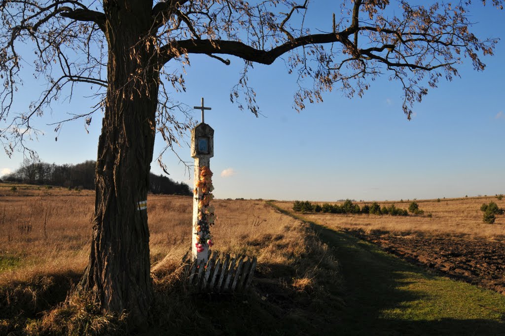 Wayside chapel by Rava