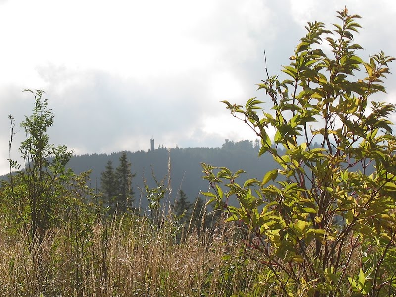 Kickelhahn from Lindenberg by arek_b