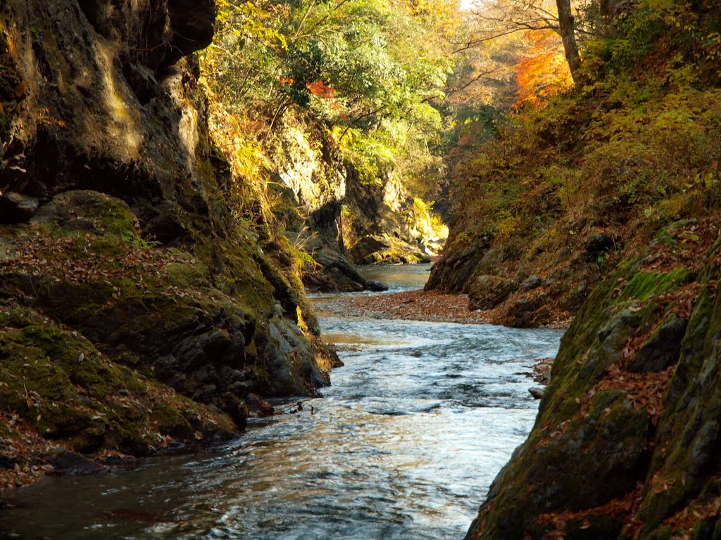 北秋川下流 The North Akigawa River by Tsuru