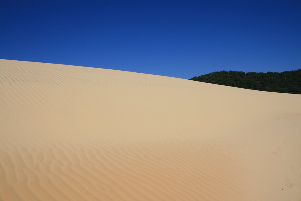 Lake Wabby, Fraser Island, QLD by Jirka Hroník