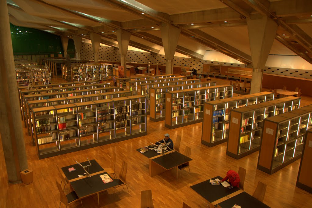 İskenderiye Kütüphanesi, Bibliotheca Alexandrina, The Modern Library in Alexandria by Cevdet G