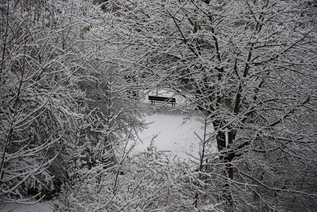 Winter in Olten by Michele Canonico