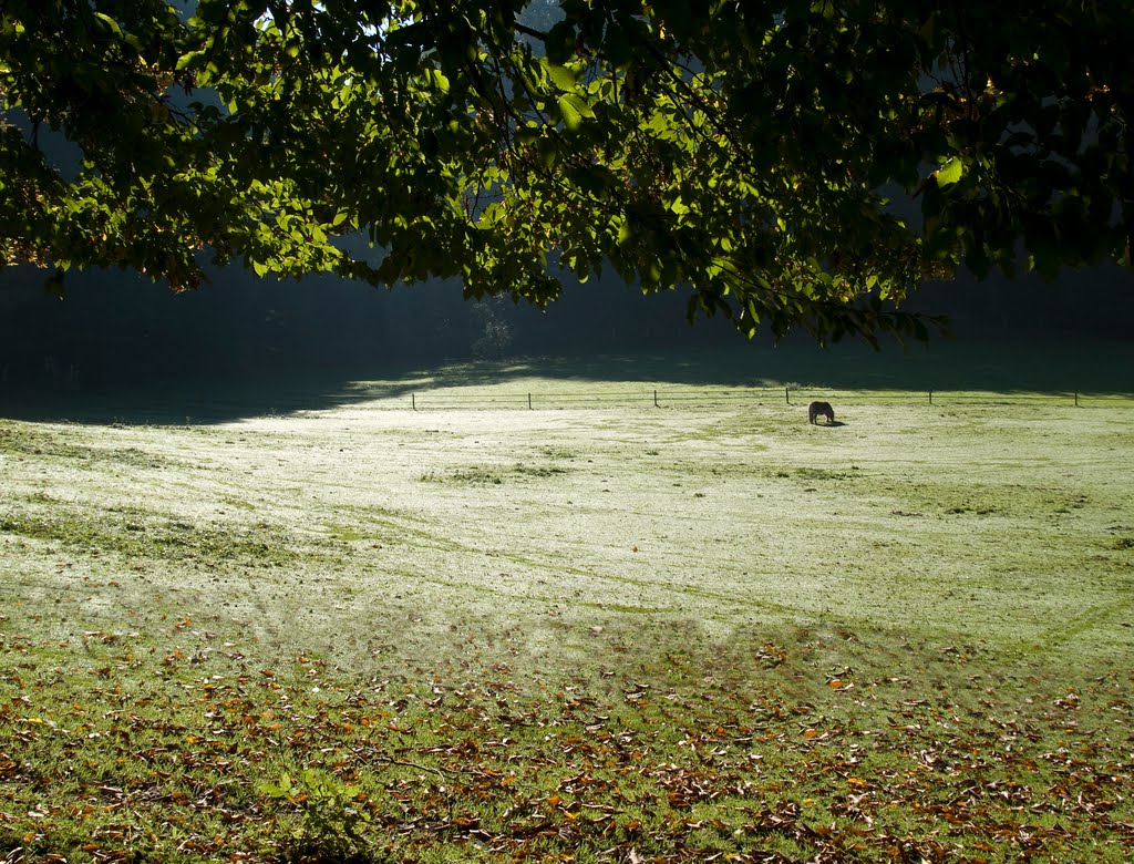 Autumn in Beek-Ubbergen by Marien de Clercq