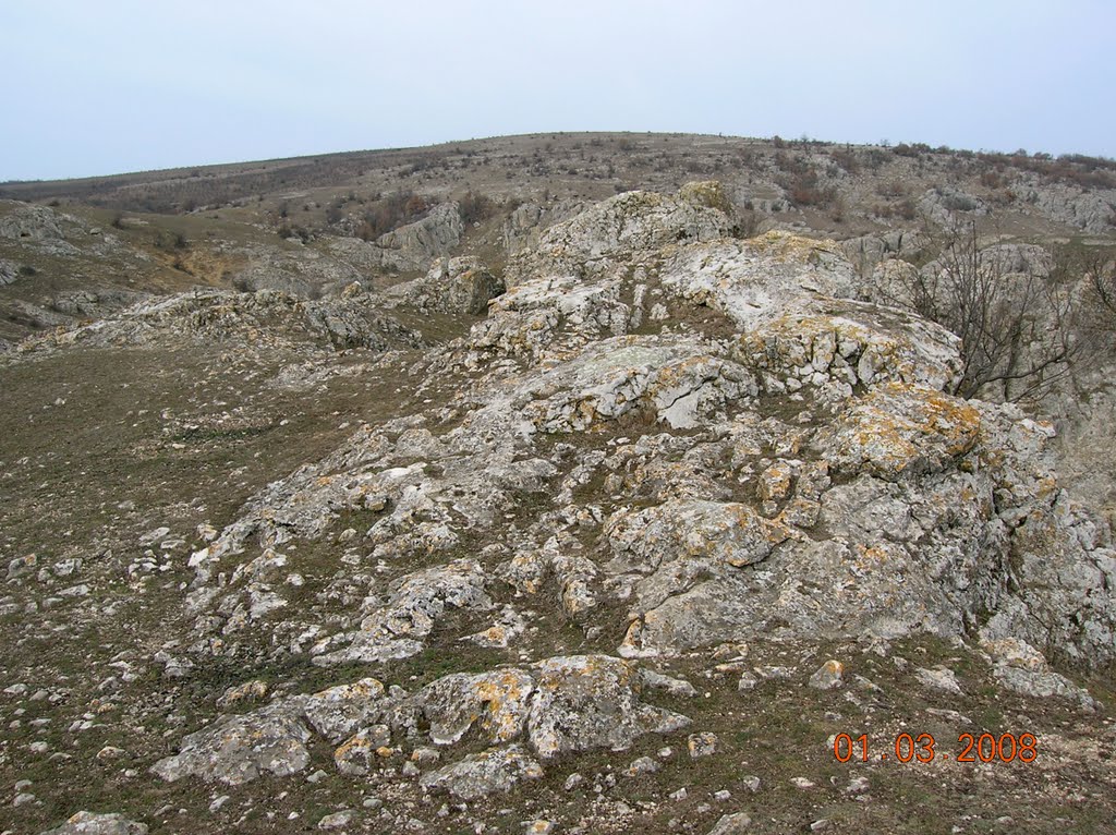 Dobrogea gorges by raduconstantin