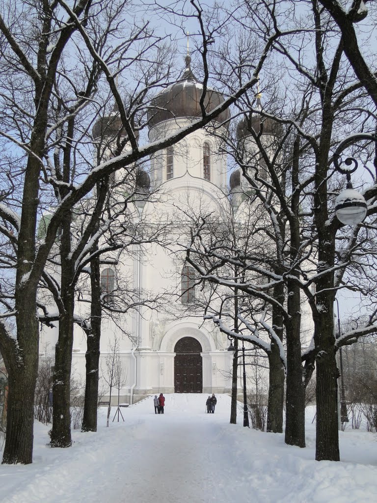 Pushkin. St. Catherine's Cathedral. by apeiron64